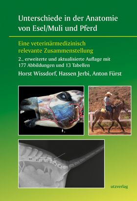 Unterschiede in der Anatomie von Esel/Muli und Pferd Eine veterinärmedizinisch relevante Zusammen...