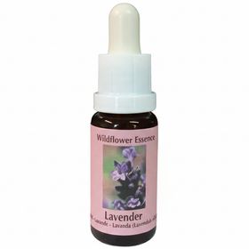 PHI Essences - Lavendel Wildblüten Essenz