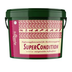 St. Hippolyt Super Condition für Pferde