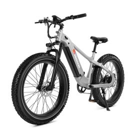 FREEDARE Saiga Elektrofahrrad mit 48V 20Ah Akku und GPS