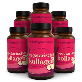 Vegetarisches Daily Glow Kollagen mit Hyaluron & Elastin
