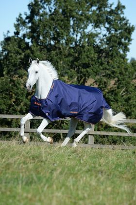Bucas Therapy Turnout Light