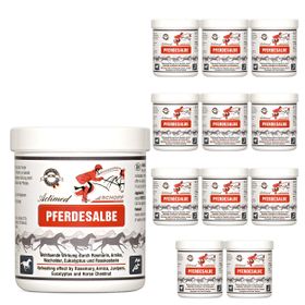 SILBERKRAFT Actimed Pferdesalbe mit Arnika
