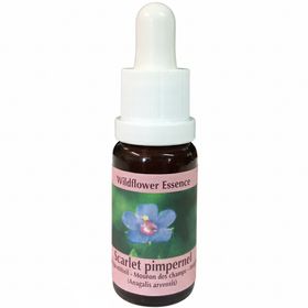 PHI Essences - Ackergauchheil Wildblüten Essenz