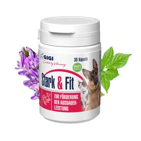 GIGI VET Stark & Fit Für Hunde und Katzen