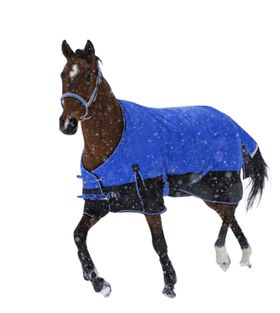 Equitheme Tyrex Outdoordecke