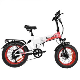 Cheevalry CF1000 Elektrofahrrad mit 48V 20AH Akku