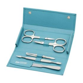 Erbe, Druckknopf-Etui Siena, vernickelt