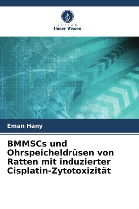 BMMSCs und Ohrspeicheldrüsen von Ratten mit induzierter Cisplatin-Zytotoxizität DE