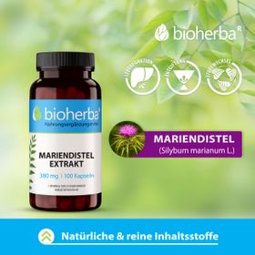 Mariendistel Extrakt 380 mg 100 Kapseln PZN 18216539