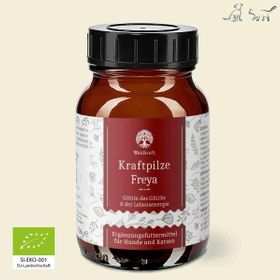 Waldkraft Kraftpilze Freya Vitalpilz Synergetikum