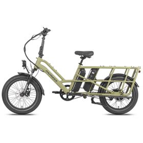 Fafrees FF20 CUV Elektrofahrrad, 2 x 12 Ah Akkus, 250 W