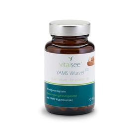 Vitalsee YAMS Wurzel 300 Extrakt