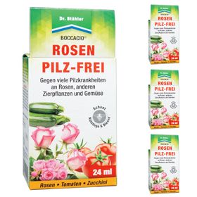 SILBERKRAFT Boccacio Rosen Pilz-Frei