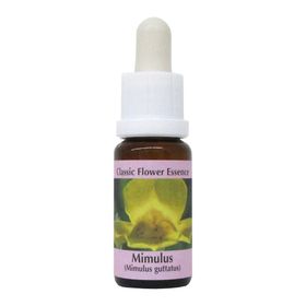 PHI Essences - Mimulus Bachblüte Nr. 20