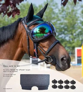 eQuick® eVysor Brillengläser Kit mirrored rainbow