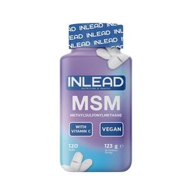 INLEAD MSM + Vitamins