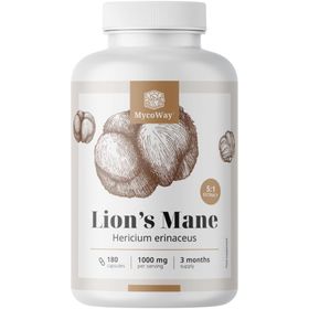 MycoWay Lion's Mane 1000 mg – Extrakt 5:1