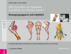 Bild-Text-Atlas zur Anatomie und Klinik des Pferdes. Bd.1 Bewegungsapparat und Lahmheiten. Übertr...