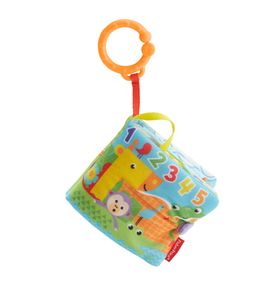 AV-MA-FISHER PRICE KLEINES SPIELB. FGJ40