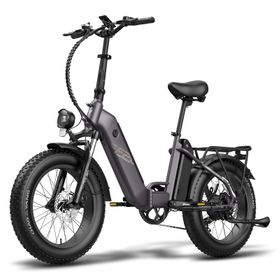 Fafrees FF20 Polar Falt-Elektrofahrrad mit Doppelakku 20,8 Ah