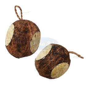 Lyra Pet® Ganze Kokosnuss mit 3 Löchern gefüllt