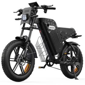 VARUN X-Plorer Beast Elektrofahrrad mit 48V 31,5Ah Akku