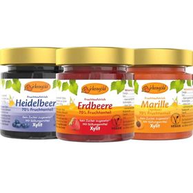 Birkengold Fruchtaufstrich ohne Zuckerzusatz Aktionsset