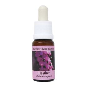 PHI Essences - Heather Bachblüte Nr. 14
