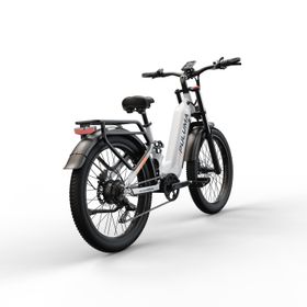 PULUMA PE97 Elektrofahrrad mit 48V 20Ah Akku, 26 Zoll