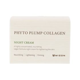 Night Haut cream Phyto Plump Collagen (Night Cream)