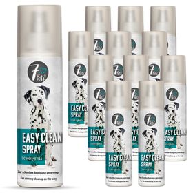 SILBERKRAFT Easy Clean Spray