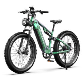DUOTTS E26 Elektro-Mountainbike mit 48V 20Ah Akku