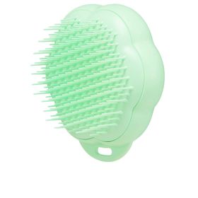 PET TEEZER CAT Fellpflegebürste 1 Stk
