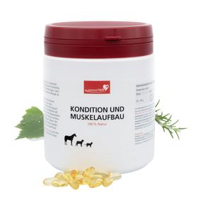 HerzensTier Kondition und Muskelaufbau für Hunde, Katzen & Pferde