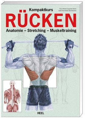 Kompaktkurs Rücken Anatomie - Stretching - Muskeltraining