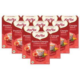 Yogi Tea - Positive Energie Bio Schwarztee