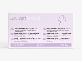 GetTested Mycoplasma-Test für Katzen