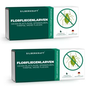 SILBERKRAFT Florfliegenlarven