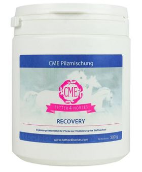CME Recovery