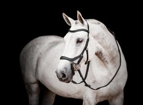Horseware Micklem® 2 Competition Bridle