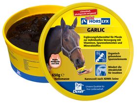 Derby HORSLYX Leckmasse Garlic