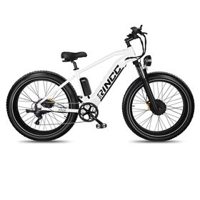 Rincc RN70 Elektro-Mountainbike mit 48V 20AH Akku