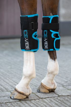 Horseware Ice-Vibe Therapiegamaschen Knee Wrap