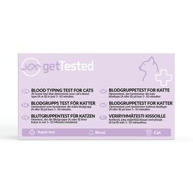 GetTested Blutgruppen-Test für Katzen