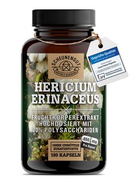 Scheunengut® Lions Mane | hochdosierter Hericium Erinaceus Extrakt 30:1 | 30% Polysaccharide