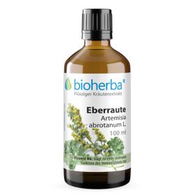 Eberraute Artemisia abrotanum L. Tropfen Tinktur 100 ml PZN 19112196