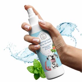 Hand aufs Pferd/Hund Zahnpflege Kräuter Spray