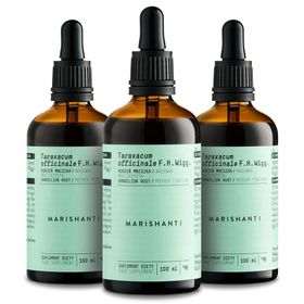 Marishanti Löwenzahnwurzel Extrakt – alkoholfrei