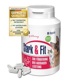 GIGI VET Stark & Fit Für Hunde und Katzen Aktiviert den Fettstoffwechsel Ideal bei Gewichtsreduktion